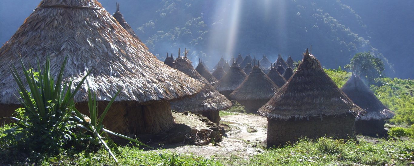 Preservar y transmitir el conocimiento ancestral